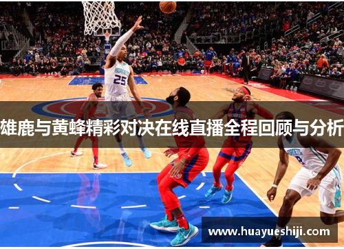 雄鹿与黄蜂精彩对决在线直播全程回顾与分析