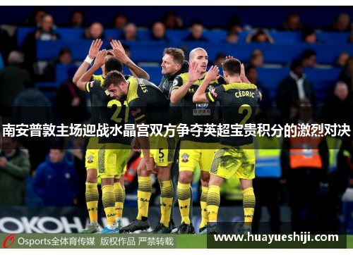 南安普敦主场迎战水晶宫双方争夺英超宝贵积分的激烈对决